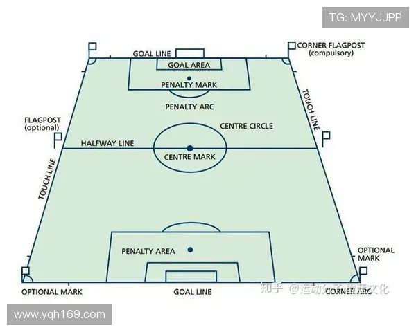 足球巨星如何影响球迷认知与社会文化变迁的深度解析